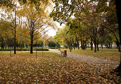 Parc Timisoara